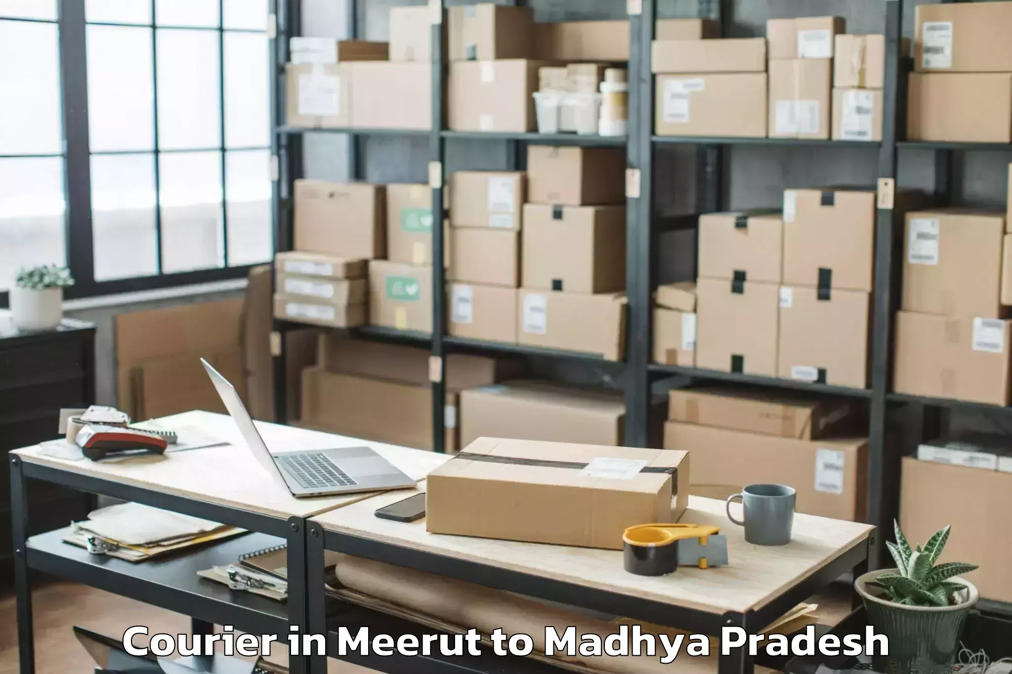 Book Your Meerut to Nasrullahganj Courier Today